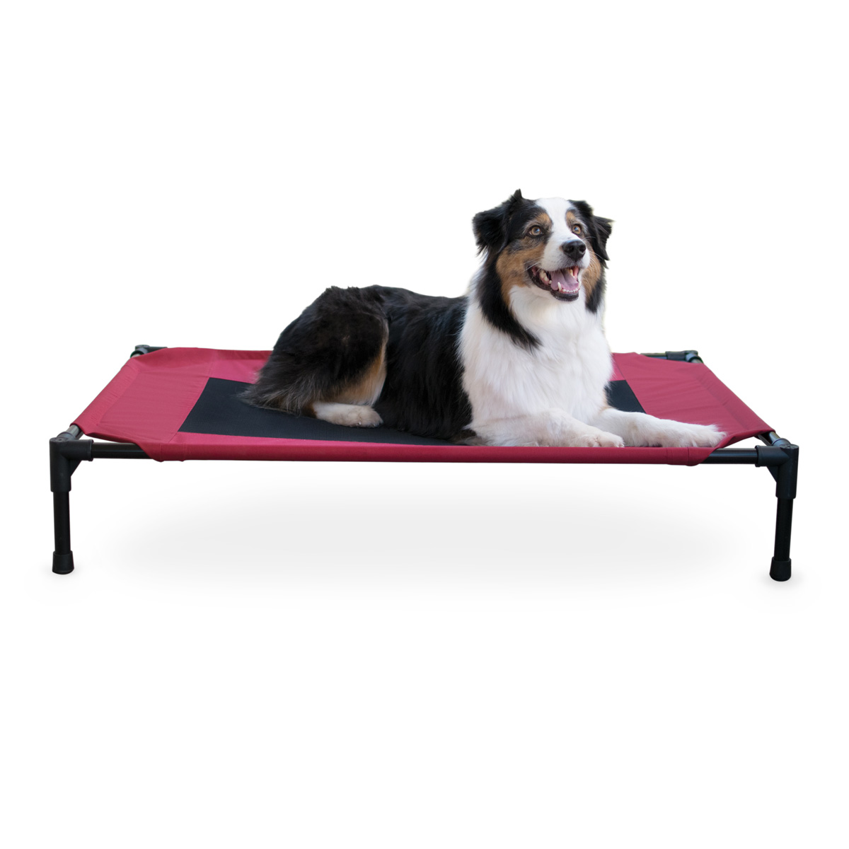 K & H Pet Products Elevated Pet Bed - Large
