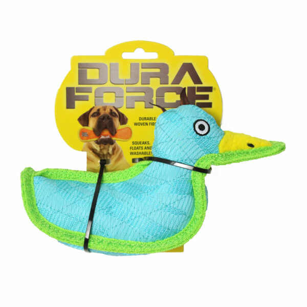 Duraforce Characters Blue Green Duck Dog Toy