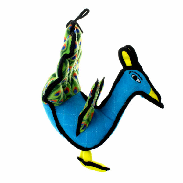 Tuffy Zoo Peacock Dog Toy