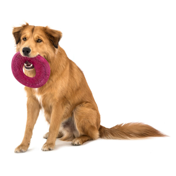 West paw best sale dog frisbee