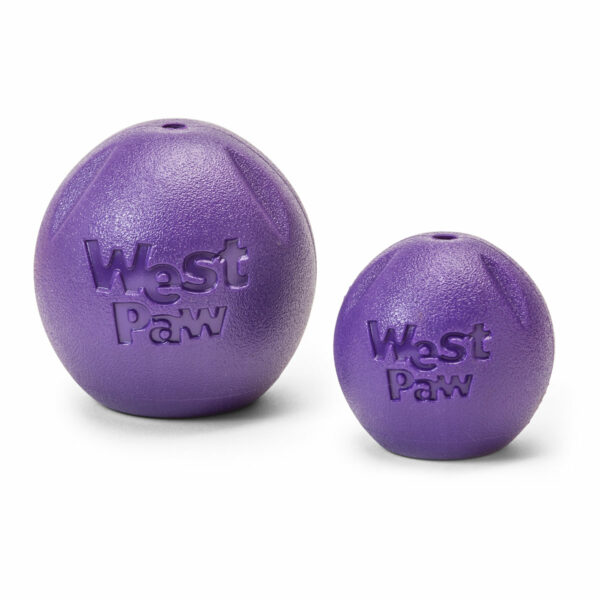 West Paw Zogoflex Echo Rando Dog Toy (Eggplant - Sizes)