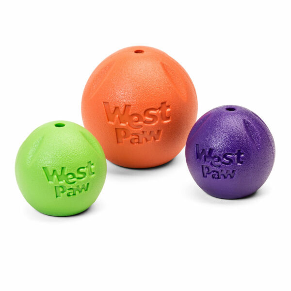 West Paw Zogoflex Echo Rando Dog Toy (Group)