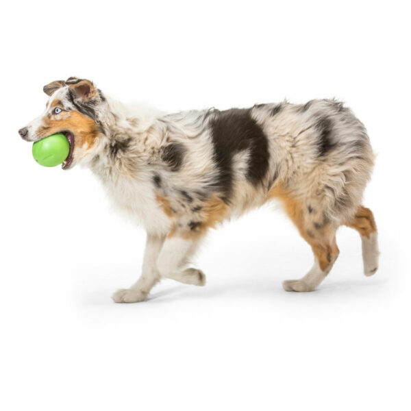 West Paw Zogoflex Echo Rando Dog Toy (Jungle Green)
