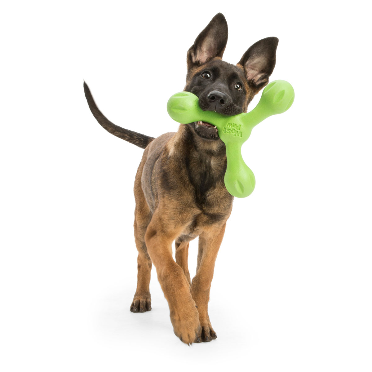West Paw Zogoflex Echo Skamp Dog Toy (Jungle Green)