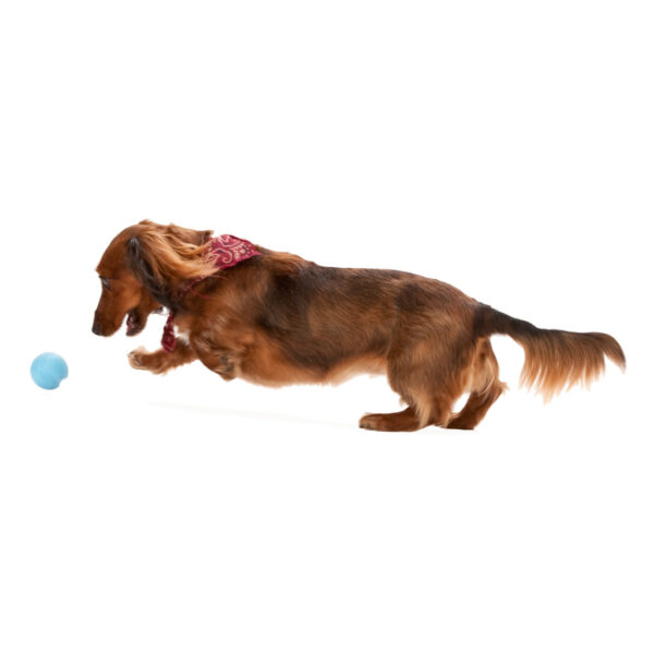 West Paw Zogoflex Jive Dog Ball (Aqua Blue)