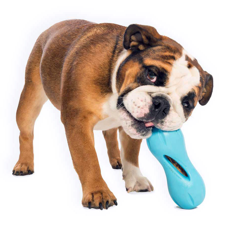 West Paw Zogoflex Qwizl Treat Dog Toy (Aqua Blue)
