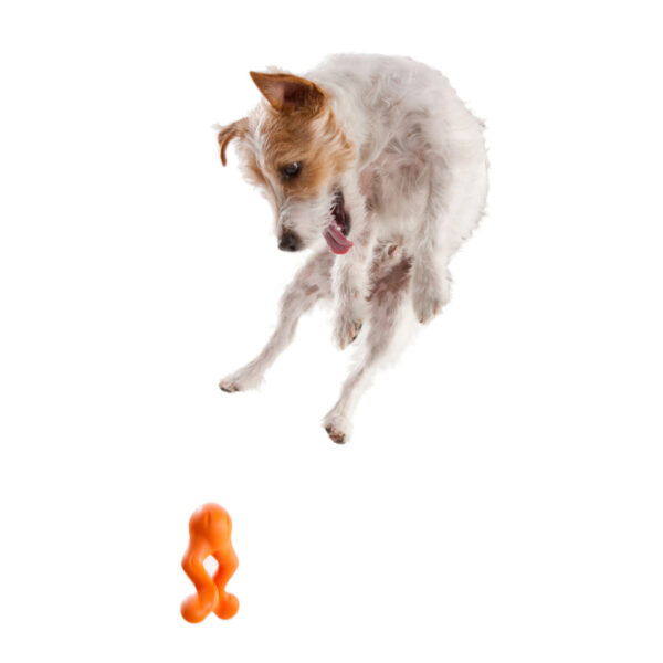 West Paw Zogoflex Tizzi Dog Toy (Tangerine)