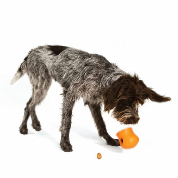 West Paw Zogoflex Toppl Treat Dog Toy (Tangerine)