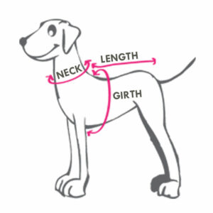 Size Chart Dogo Pet (dog)