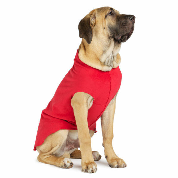 GoldPaw Series Red Stretch Fleece