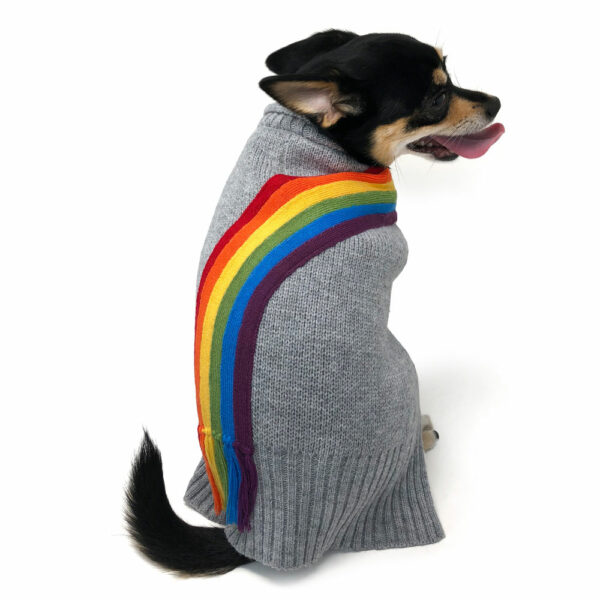 Dogo Pet Rainbow Turtleneck Sweater