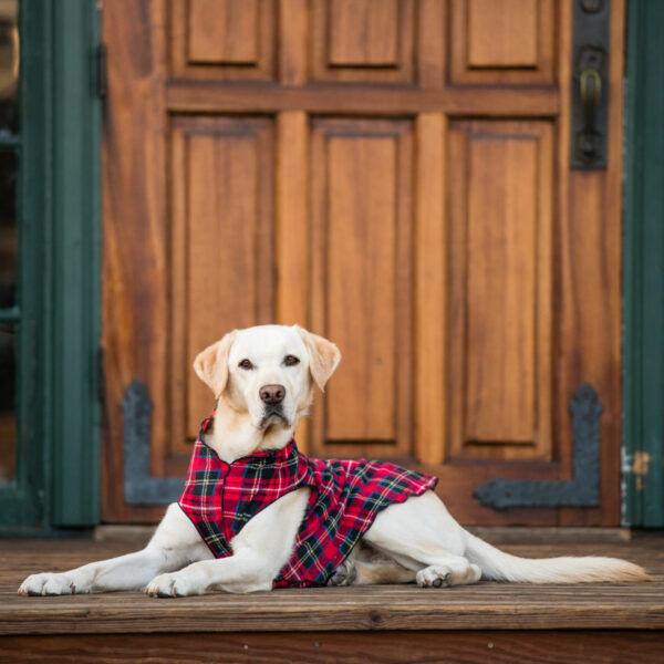 GoldPaw Series Red Plaid Stretch Fleece