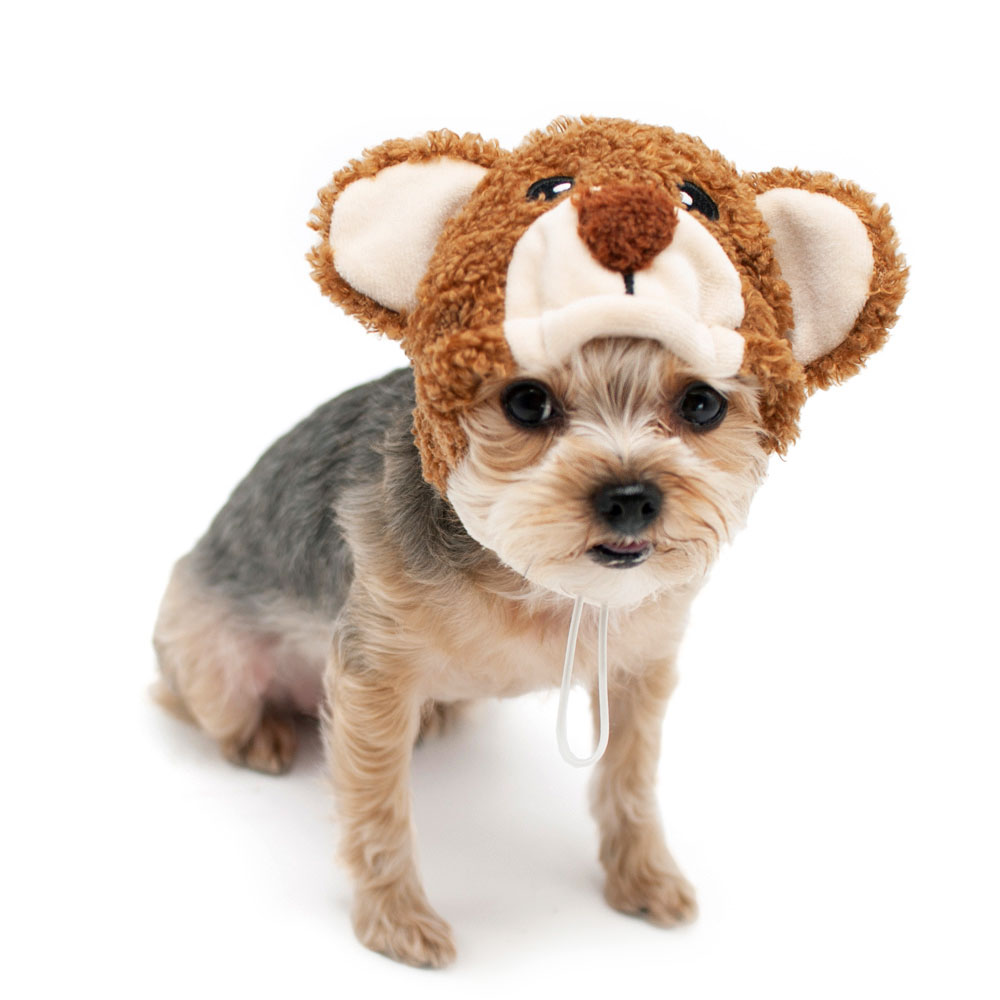 Bear Dog Costume 