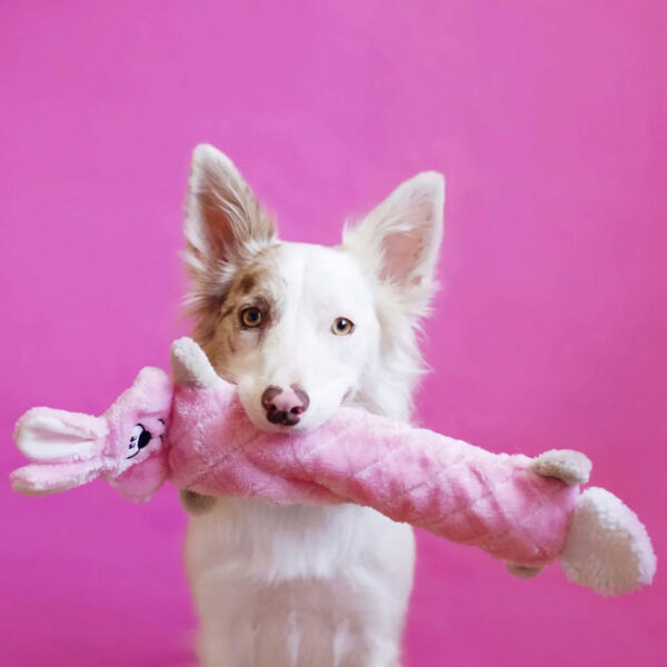 Pink Bunny Easter Dog Toy