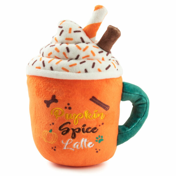 Pumpkin Spice Iced Latte Glass Tumbler – Katnipp Studios