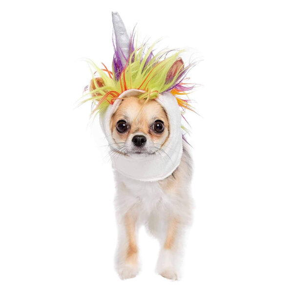 Unicorn hat pet costume