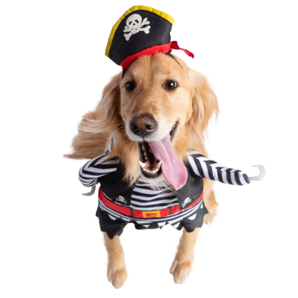 large dog pirate halloween costume