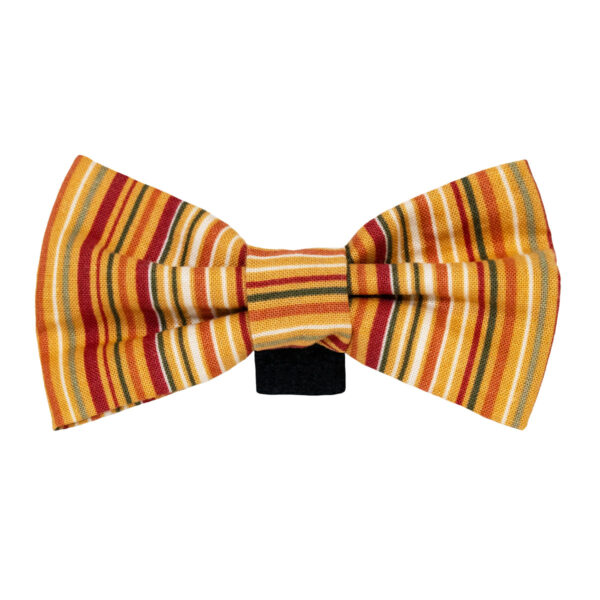 Autumn Stripes Dog Bow Tie