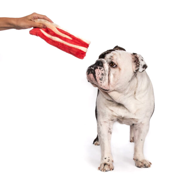 Fabdog Packaged Bacon Crinkly Dog Toy