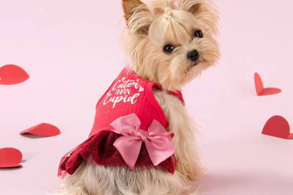 Fitwarm Valentine's Day Cuter Than Cupid Dog Dress