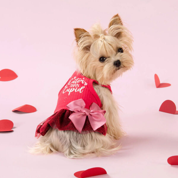 Fitwarm Valentine's Day Cuter Than Cupid Dog Dress