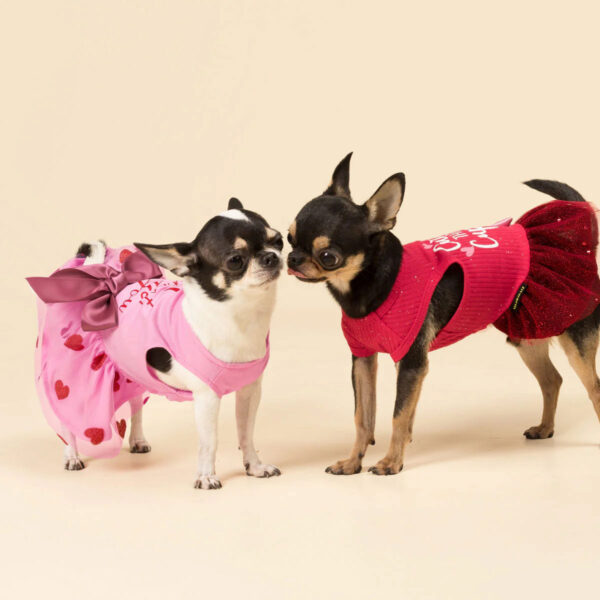 Fitwarm Valentine's Day Cuter Than Cupid Dog Dress