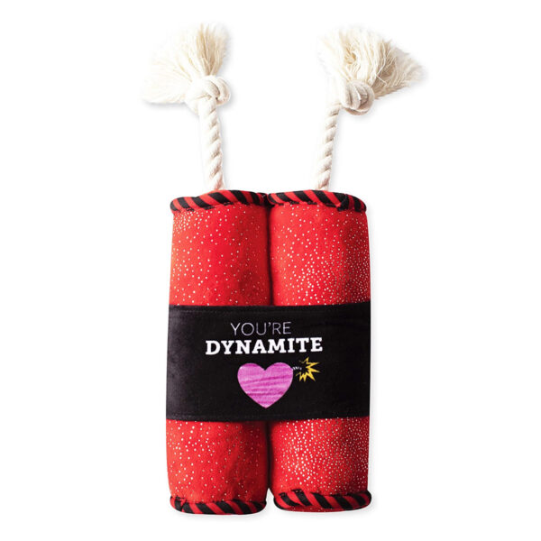 Petshop Valentine's Day You're Dynamite Plush Dog Toy