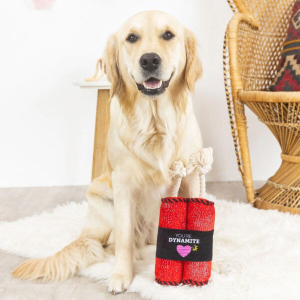 Petshop Valentine's Day You're Dynamite Plush Dog Toy