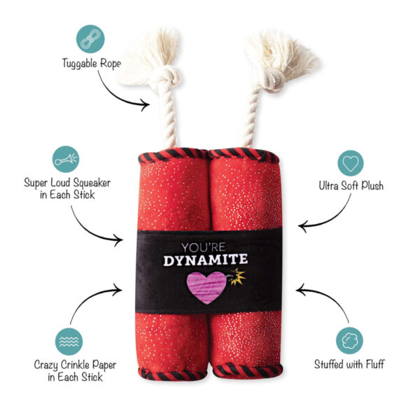 Petshop Valentine's Day You're Dynamite Plush Dog Toy