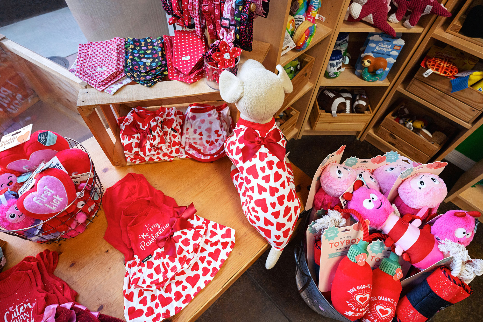 Valentine's Day Dog Toys