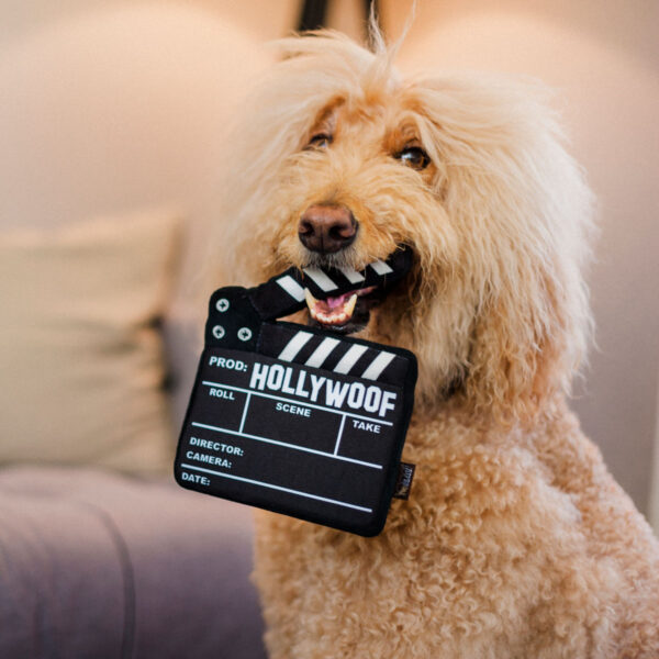 Hollywoof Cinema Doggy Director Board