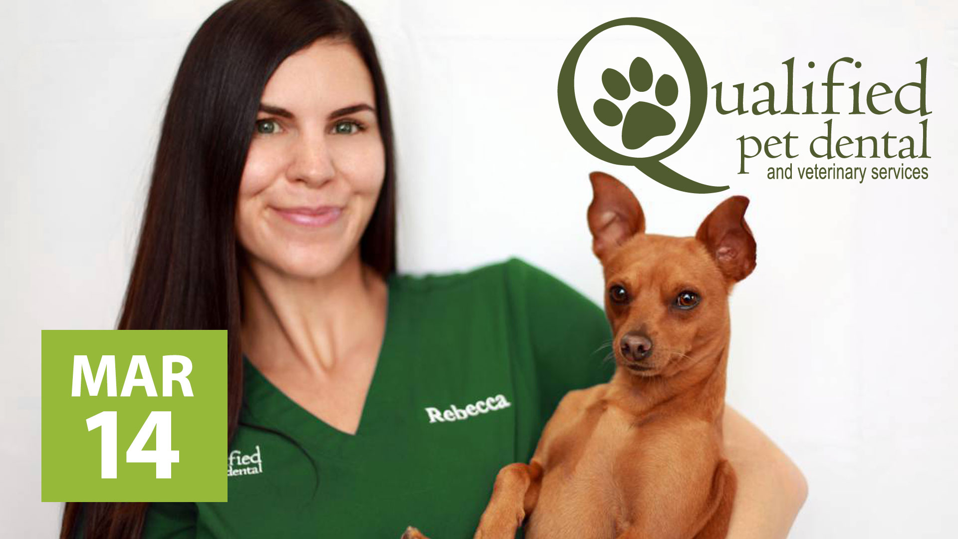 Qualified Pet Dental Cleaning for dogs & cats