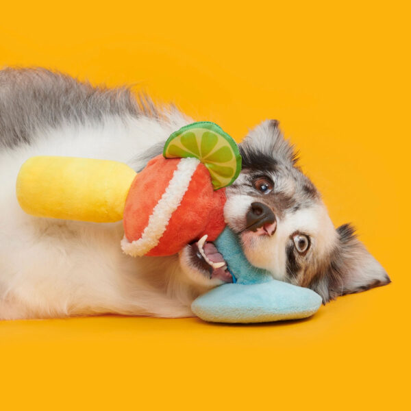 Margarita Plush Dog Toy