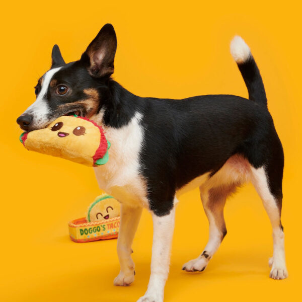 Taco plush dog toy