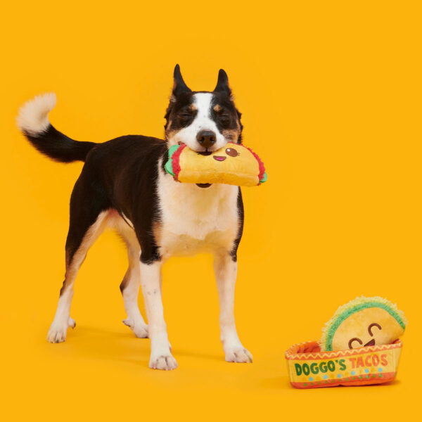 Taco dog toy