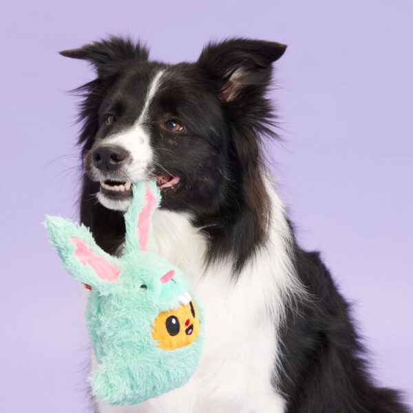 Easter Bunny Plush Dog Toy