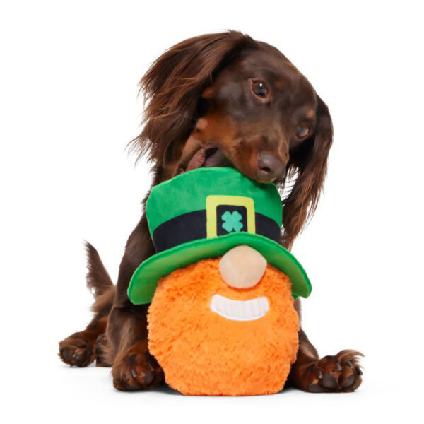 St. Patrick's Day Leprechaun Plush Dog Toy