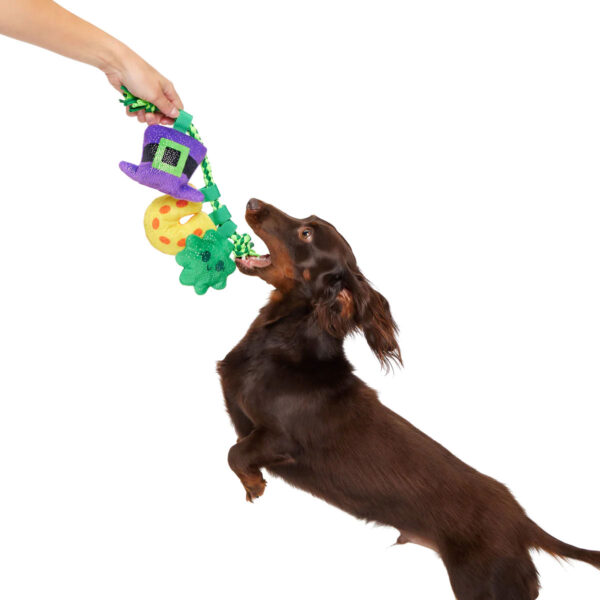 Bark St. Patrick's Day Tuggy Charms Plush Rope Dog Toy