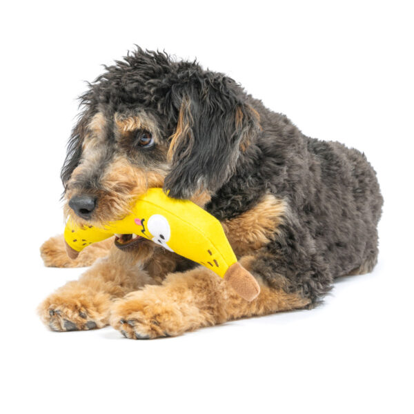 Huxley & Kent Fetchies® Bruiser Banana Plush Dog Toy