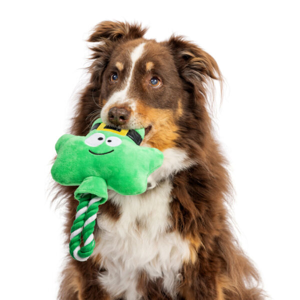 St. Patrick's Day Shamrock Lollipop Plush Rope Dog Toy