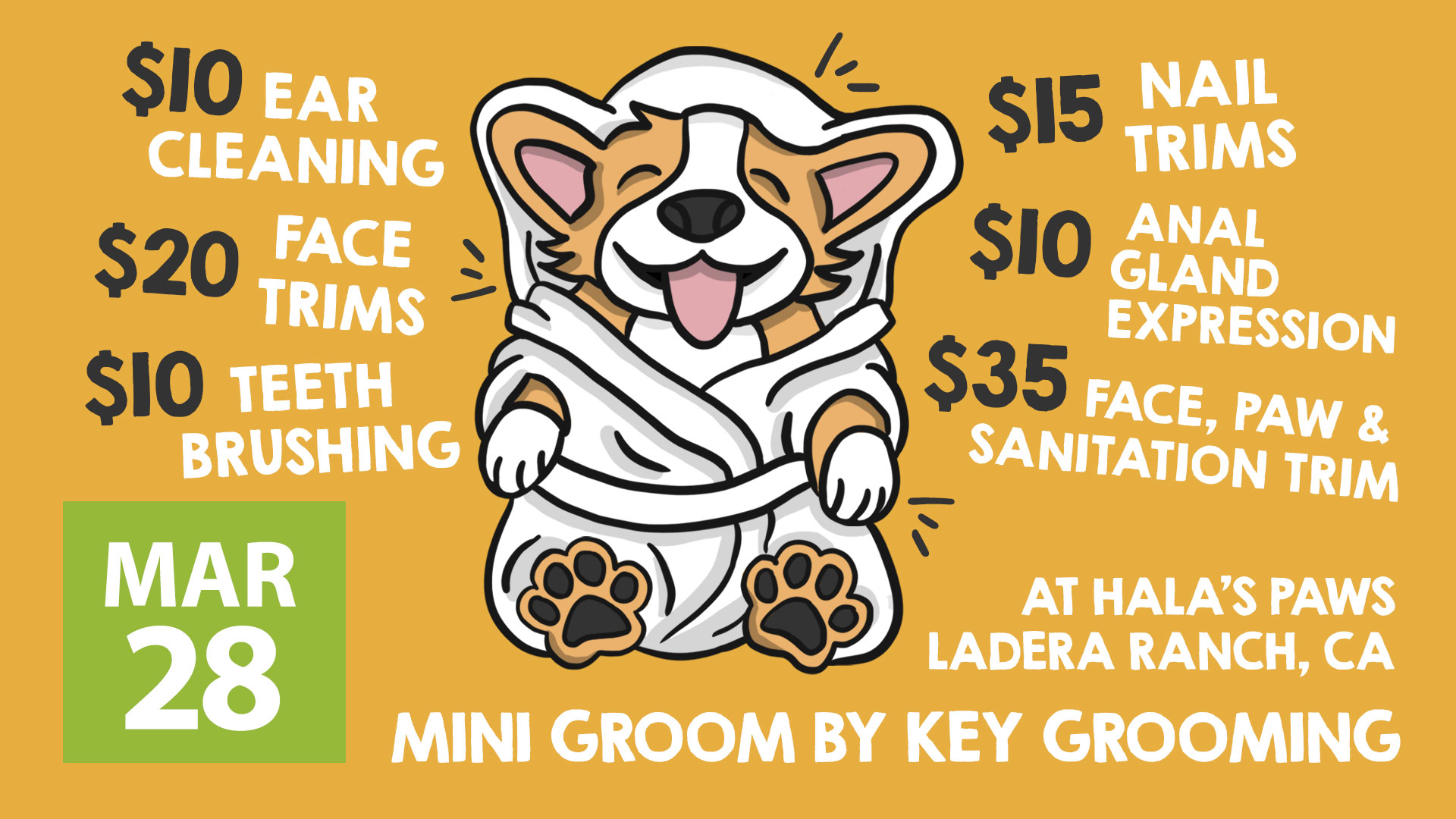 Mini Groom at Hala's Paws (Ladera Ranch, CA) - March 28, 2025