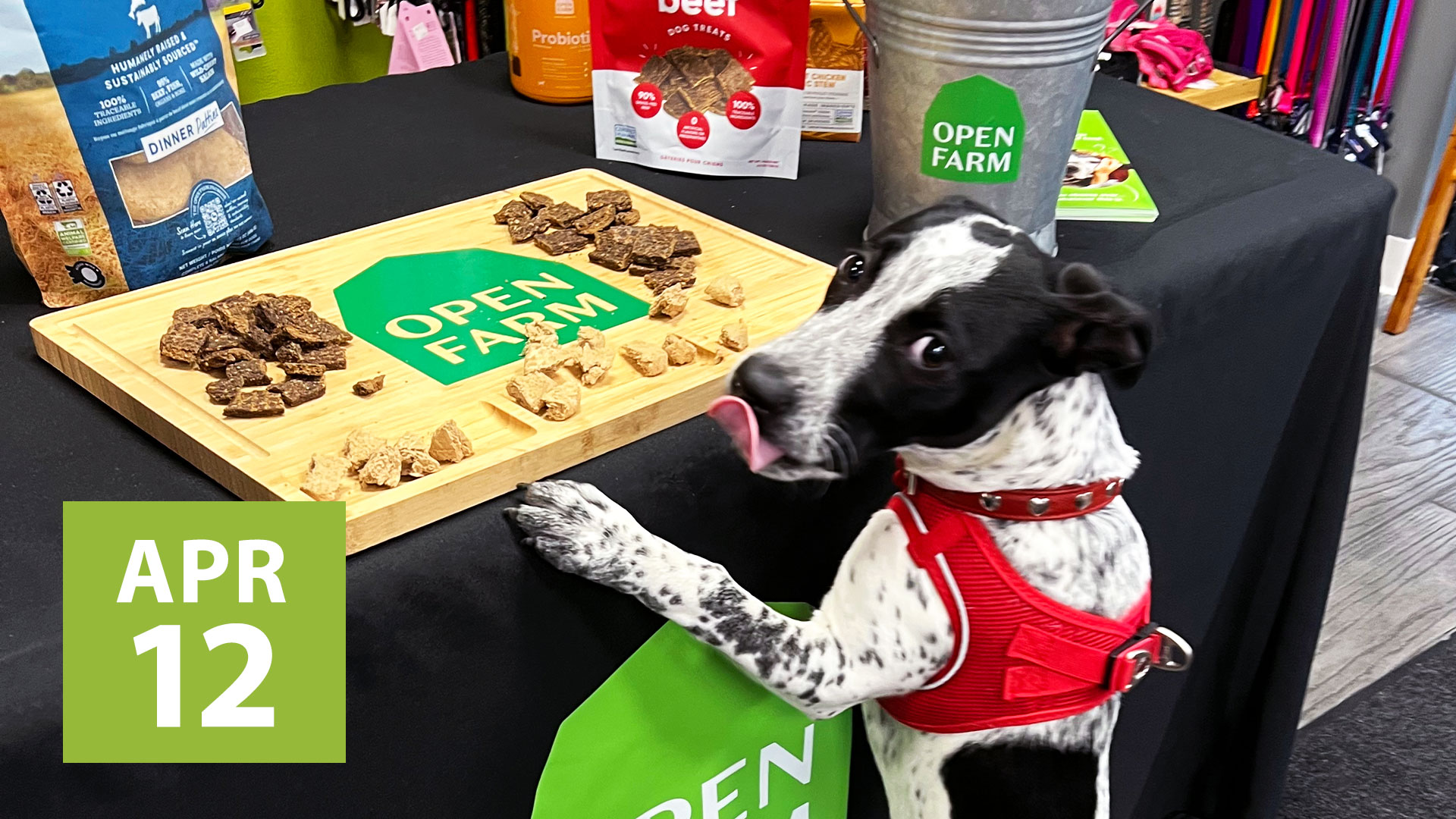 April 12, 2025 - Open Farm demo at Hala's Paws (Ladera Ranch, CA)