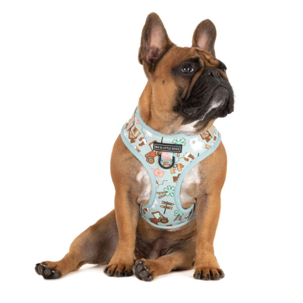 Big & Little Dogs Barnyard Friends Adjustable Dog Harness