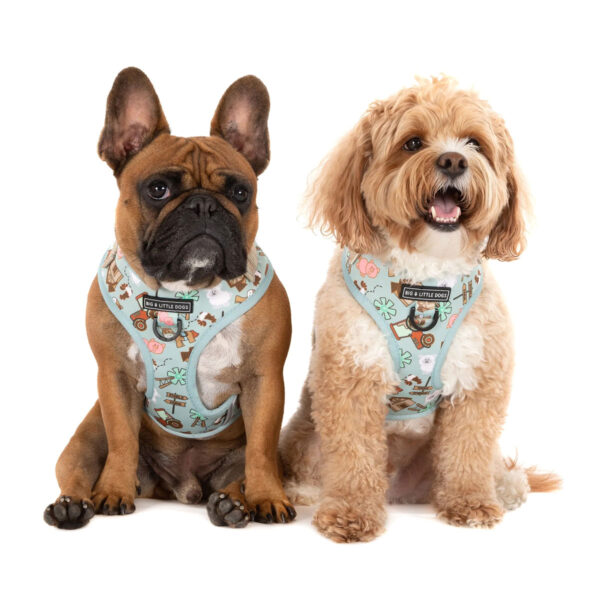 Big & Little Dogs Barnyard Friends Adjustable Dog Harness