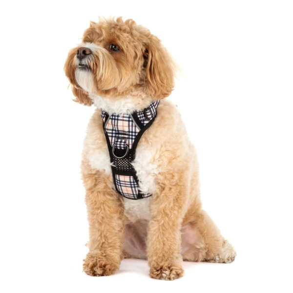 Big & Little Dogs All-Rounder Dog Harness Nova Plaid