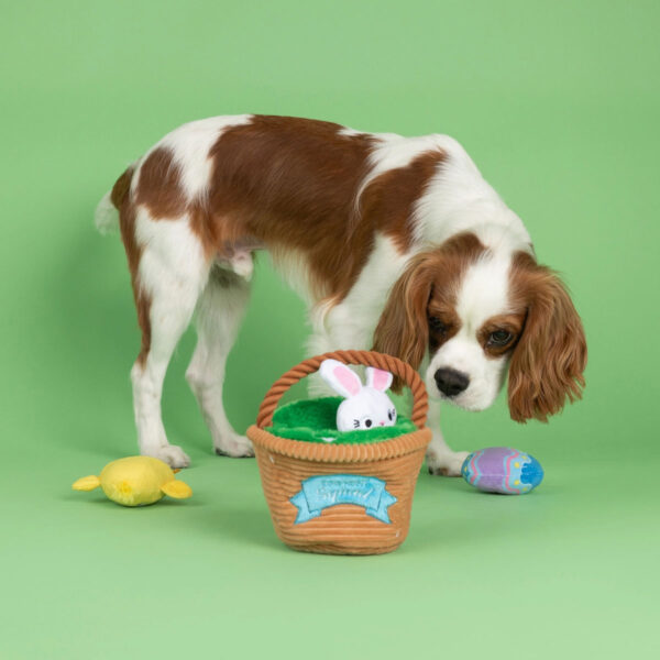 Egg Hunt Squad Hide N Seek Easter Basket Dog Toy