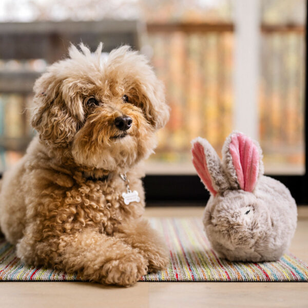 PLAY Forest Friends Baxter the Bunny Plush Dog Toy