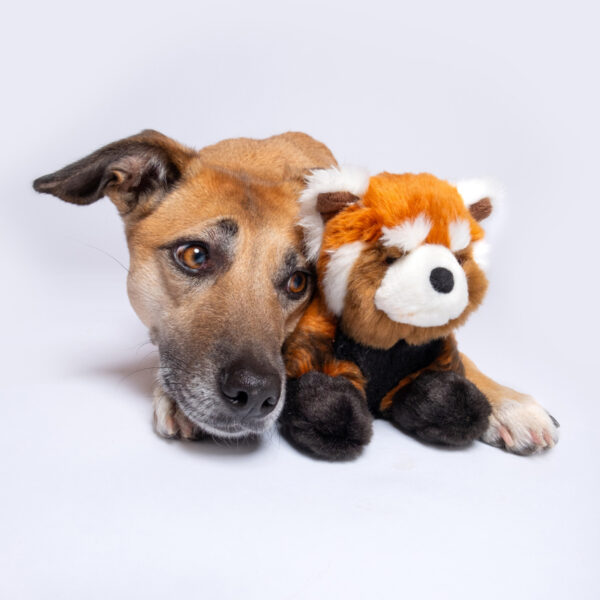Fluff & Tuff Archie Red Panda Durable Plush Dog Toy (Large)