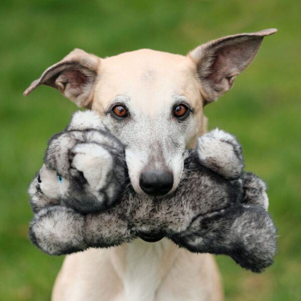 Fluff & Tuff Blanca Wolf Durable Plush Dog Toy (Medium)