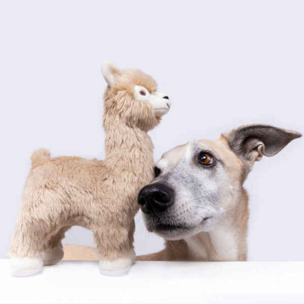 Fluff & Tuff Inca Alpaca Durable Plush Dog Toy (Medium)